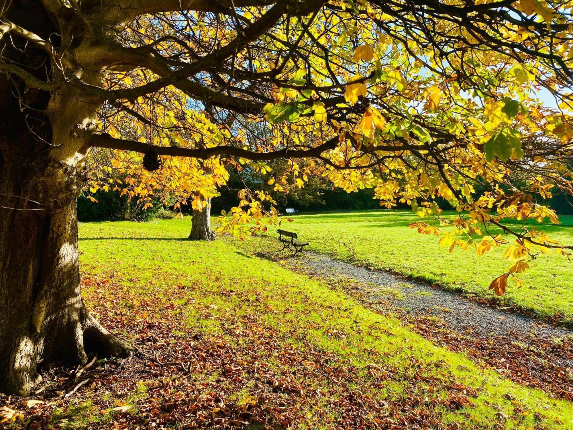 Endsleigh Park Hotel Kingston upon Hull Eksteriør bilde